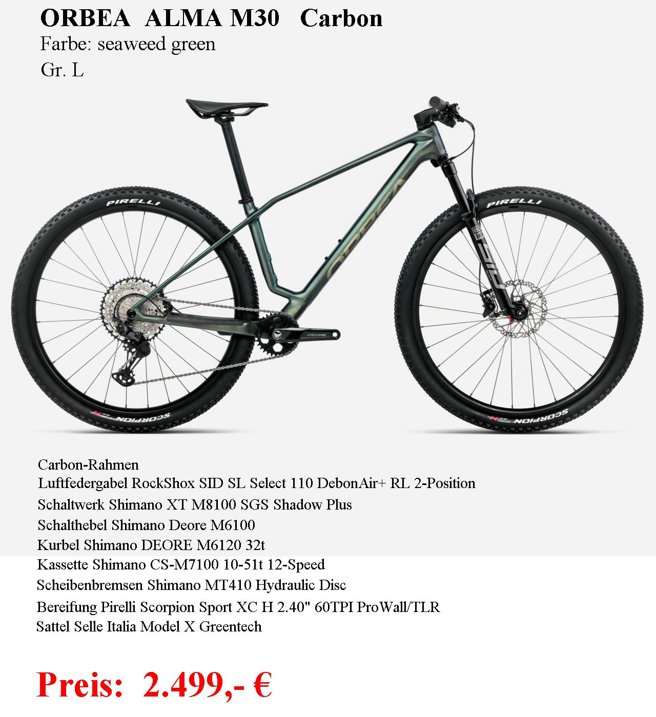 ALMA M30 seaweed Gr.L 2025